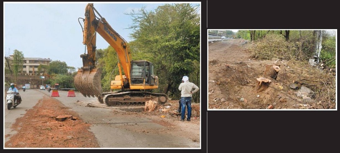 buldojar_1&nbsp;&nbsp;H x