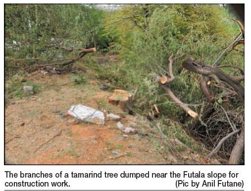 futala_1&nbsp;&nbsp;H x W