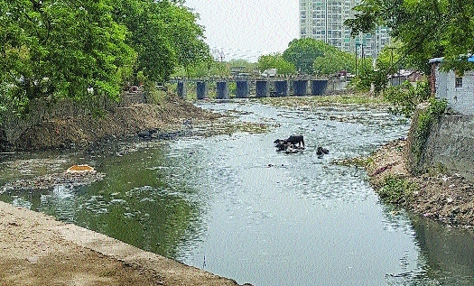 Nag river_1&nbsp;&nbsp;H 