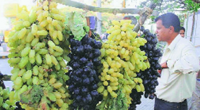 Grape prices_1  