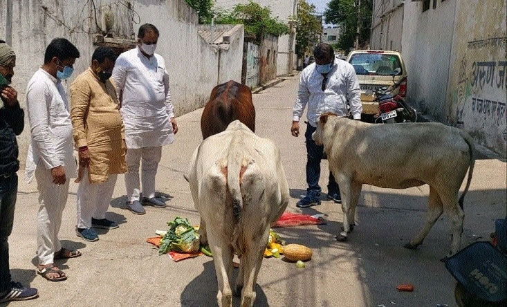UDCC Raipur Presiden_1&nb