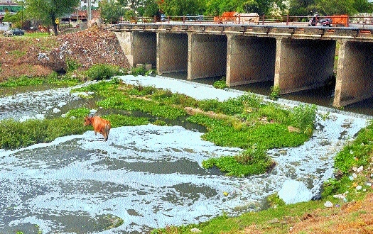 Nags tributary Pohra rive