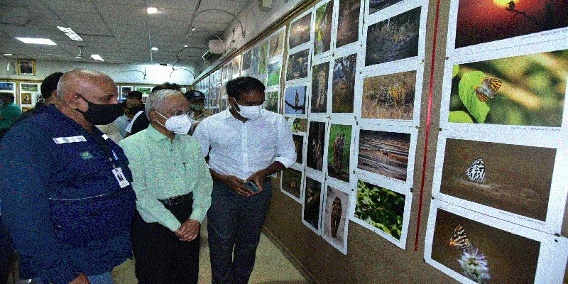 Milan Society organises e