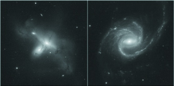 Scientists find_1 &n