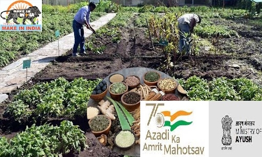 Azadi Ka Amrit Mahotsav_1