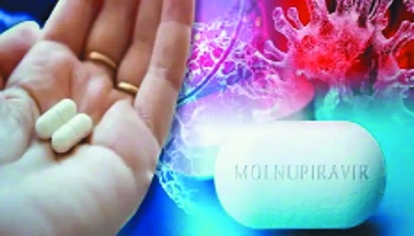 Molnupiravir 