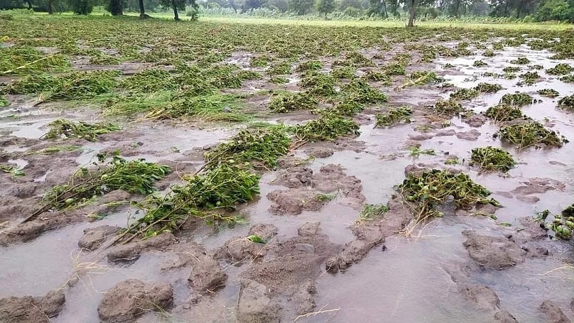 damage to crops