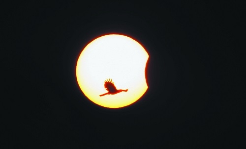 Partial solar eclipse