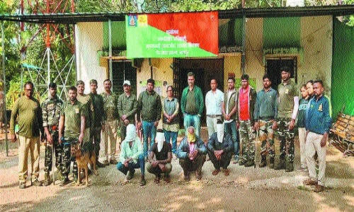 tiger poaching case