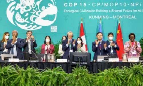 Historic ‘Paris-style’ biodiversity deal approved at COP15 summit in ...
