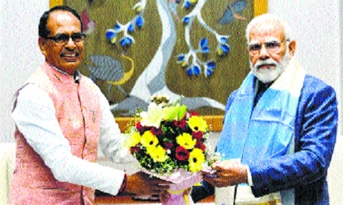 CM meets Prime Minister