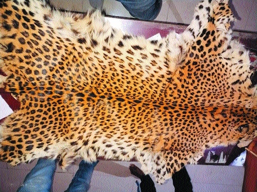 Forest Deptt WCCB team 