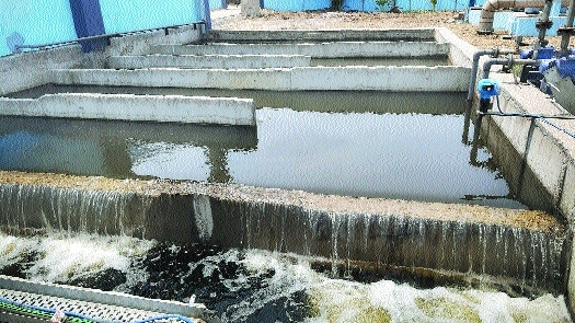 Sewage Treatment Plant