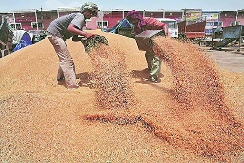 Wheat prices