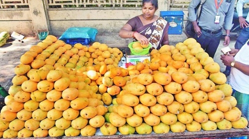 Mango prices