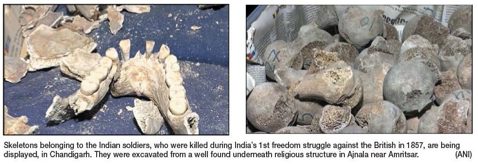 Skeletons of 282 Indian 