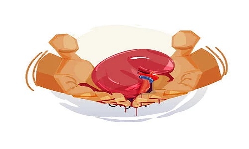 Kidney, liver transplants