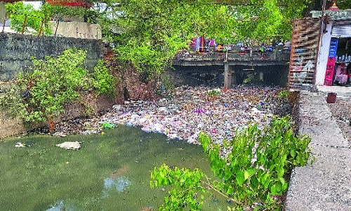 Cleaning of rivers