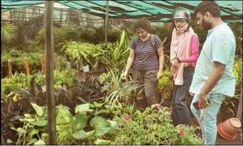 Nursery owners expect