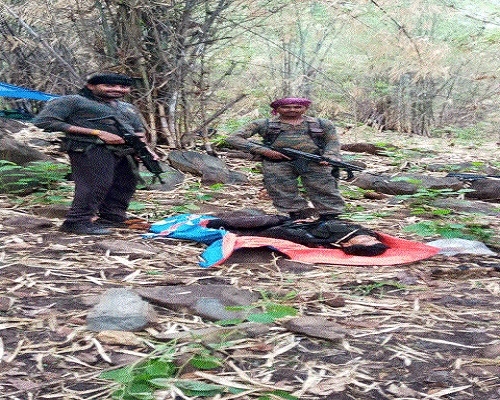 Naxals killed 