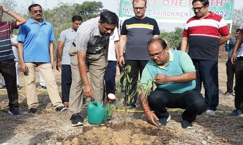 1 lakh sapling plantation