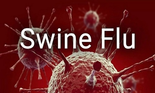 dies of swine flu