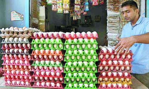 Egg prices