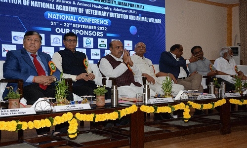 Annual convention, national conference begins at NDVSU - The Hitavada Annual convention, national conference begins at NDVSU - The Hitavada