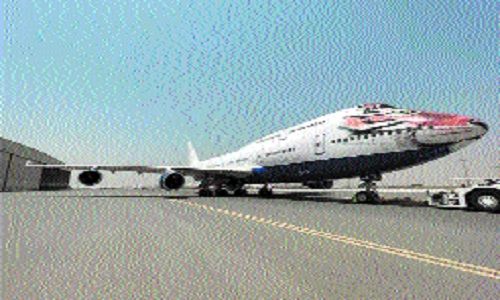 Customs Deptt gave speedy clearances to plane carrying cheetahs after change in landing destination: Official