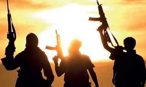 IS ultras wanted to establish caliphatein India: Police