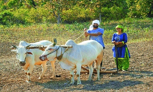 Mahalle couple