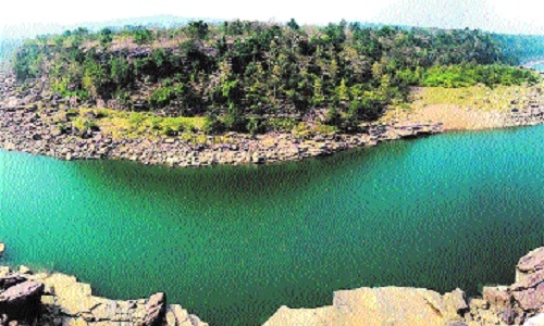 Wildlife experts apprehensive about Ken-Betwa Link Project - Vimarsana News