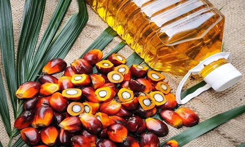 India’s palm oil
