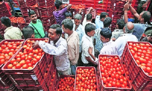 Dip in tomato prices helps bring down veg, non-veg thali prices in September: Report - Vimarsana News