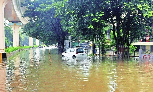 Rubbing salt in wounds