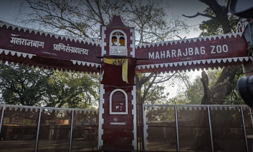 Maharajbagh Zoo