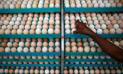 Egg prices touch all time high of Rs 6.30/piece in wholesale - Vimarsana News