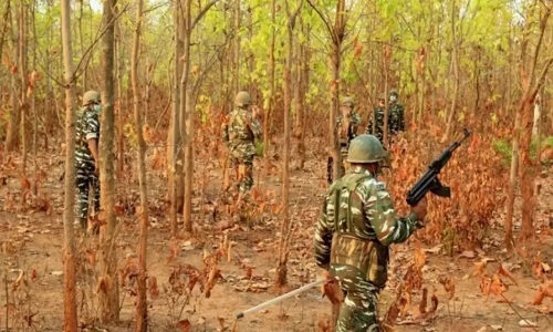 Naxals neutralised