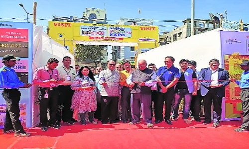 Indexpo and Nagpur Food  Expo