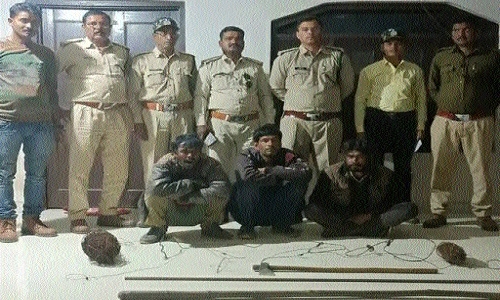 Three poachers arrested