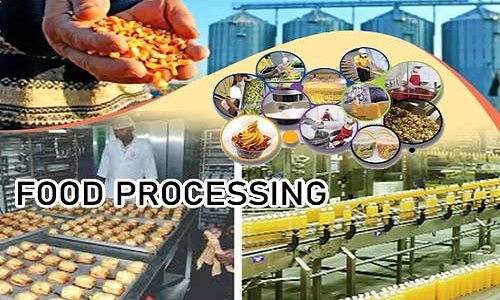 Govt to support micro food processing 