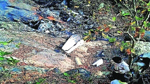 Wreckage of the aircraft 