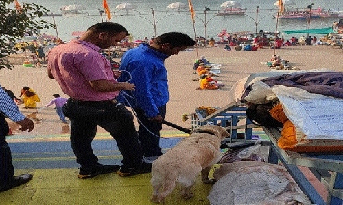 Security tightened across city