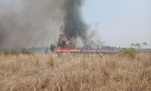 Nandini Airport area