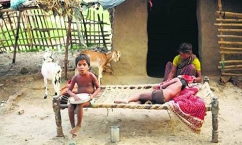 mortality up in Melghat