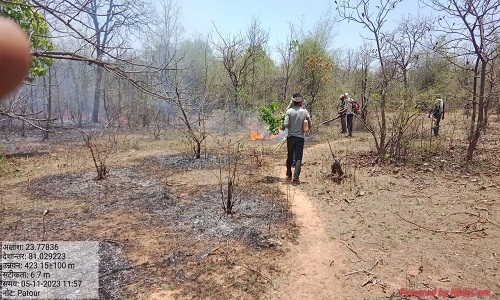 Bandhavgarh 
