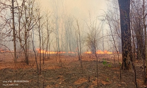 Fire rages in Bandhavgarh