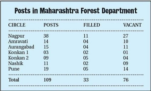 Forget wildlife conservation