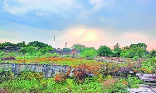ganja flying into the jail