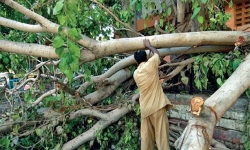 Environment public hearing